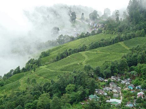 Darjeeling